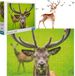Dodo Puzzel 500 pièces - Cerfs gracieux