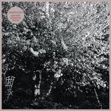 Parallel Papercuts Parallel Universe Blues LP