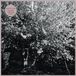 Parallel Papercuts Parallel Universe Blues LP