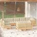 The Living Store Loungeset Grenenhout - 8-Seater Corner Sofa with Cream Cushions