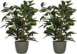 Mica Decorations 2x stuks groene ficus kunstplant 40 cm met plantenpot dennengroen D13.5 en H12.5 cm
