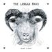 Plight Langan Band Plight O' Sheep CD