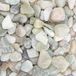 Patapalooza Decoratief groen grind, 10-20 mm, ideaal voor landschapsarchitectuur, tuinieren en aquariumbouw.