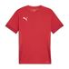 PUMA Teamgoal Matchday Jersey Jr uniseks-volwassene Voetbal Shirt