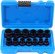 Shenzhen Haorui Industrial Technology Co., Ltd. 13 STKS Twist Socket Set 3/8 "Drive Beschadigde Bout Remover Grip Moer Extractor Socket Sets pour le retrait des écrous de roue de blocage