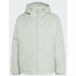 ADIDAS TERREX Veste d'extérieur vert pastel