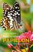 Dans la tête d'un papillon: Ecologie et évolution