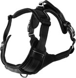 Flamingo Balou Harness - Black - Size L (60-85cm) - Adjustable - Nylon