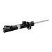 BILSTEIN 24-022576 Amortisseur Essieu arrière, Pression de gaz, Système monotube, Amortisseur sans ressort, Goujon en haut
