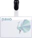 Pavo Naambordje met clip, 60 x 90 mm, transparant