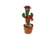 Nataluna Peluches cactus 30 cm 6552009, zoals foto, uniek