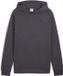 Puma Pumatech Hoodie Heren - Maat L