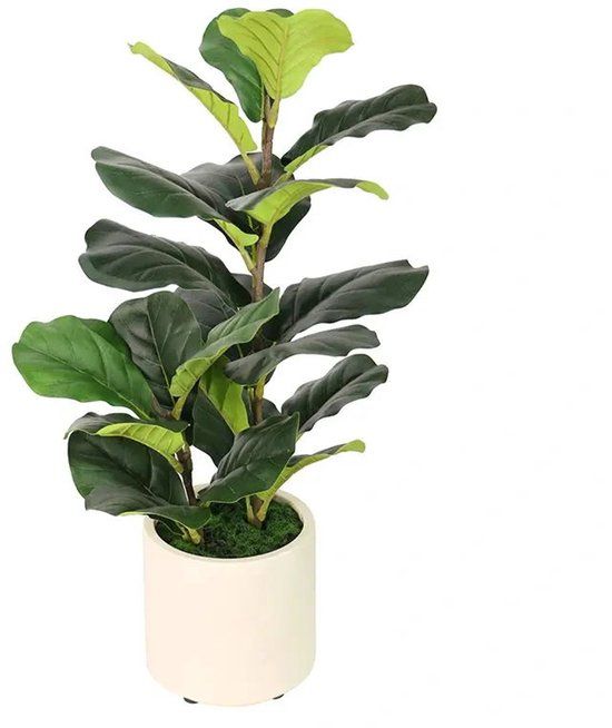 Buitengewoon Boet Buitengewoon de Boet Fiddle fig 72 cm kunstplant