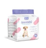 Record Assorbipiù - Matten voor honden 40x60 cm, 40 stuks. Wegwerpbare, zeer absorberende en hygiënische onderleggers. Scheur- en geurbestendig