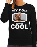 Bellatio Decorations Duitse herder honden trui / sweater my dog is serious cool zwart - dames - S