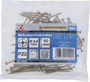 BGS Do it yourself BGS Multischroeven - kruiskop PZ2 - 4,0 x 60 mm - 100 stuks