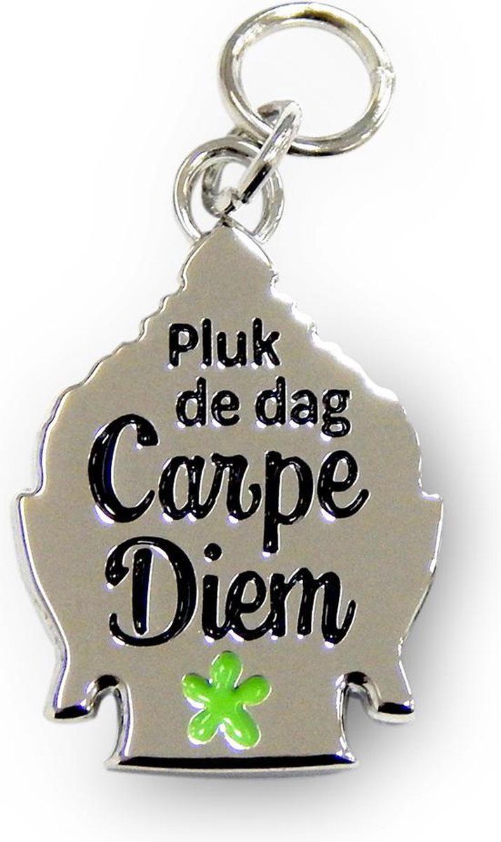 Charms for you Bedeltje - Carpe diem - 8714436083552