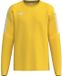 Erima Intro Sweatshirt Kinderen - Geel | Maat: 164
