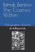 Itzhak Bentov The Cosmos Within