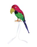Bristol Novelty BA145 Piratenaccessoires met veren, meerkleurig, papegaai, uniseks, volwassenen, eenheidsmaat