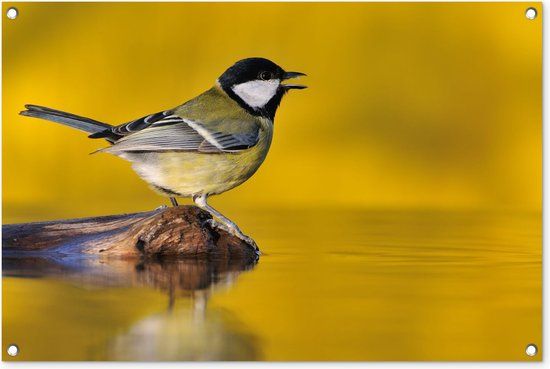GreatGardenPosters Tuinposter - Vogel - Boom - Water - Geel - Natuur - 90x60 cm - PVC - Rechthoek