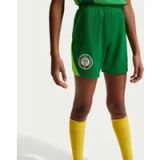 Nike Nigeria Short Domicile enfant Coupe du Monde 2026
