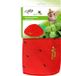 All for Paws AFP Green Rush - Strawberry Play Mat