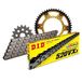 Kettingset DID Stealth 520VX3 / 110 klinknagel slot goud voor KTM LC4-E Super Moto LC4 SM 640 cc Bj. 1999-2006