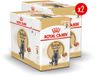 Royal Canin British Shorthair Adult Wet - 24 x 85 g