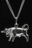 MOOYE ® - Collectie Zilveren Sterrenbeeld Stier ketting hanger - groot