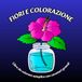 Fiori e Colorazione: Libro da colorare semplice con caratteri grandi