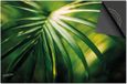 Dietrix Inductie Beschermer 81x52 - Bloemen en Planten - Blad