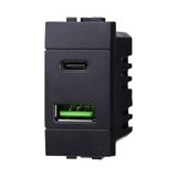 IXTRIMA Dubbele USB-lader met 2 poorten, 3,1 A USB-C + USB A, kleur zwart, compatibel met Bticino Living Light/International, 1 stuk