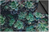 Dietrix Inductie Beschermer 60x52 - Bloemen en Planten - Vetplantjes