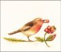 Lanarte Kruissteekset Roodborstje Marjolein Bastin PN-0188024