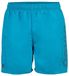 Arena Zwemshort Fundamentals Logo R Turquoise/Donker Olijf Mannen M