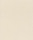 Rasch 752625 African Queen 3 Vliesbehang Lederlook Lichtbeige