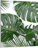 TMK ArtDeko Glazen Snijplank 40x52 cm Monstera