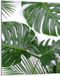 TMK ArtDeko Glazen Snijplank 40x52 cm Monstera