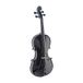 Stagg 25019977 VN4/4-TBK 4/4 VN-BLK & standaard soft cover