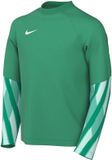 Nike Team Sweater Kinderen Dri-FIT Park V Stadium Groen - Maat M