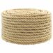 vidaXL Multifunctioneel touw 10 mm 100 m Naturel PP