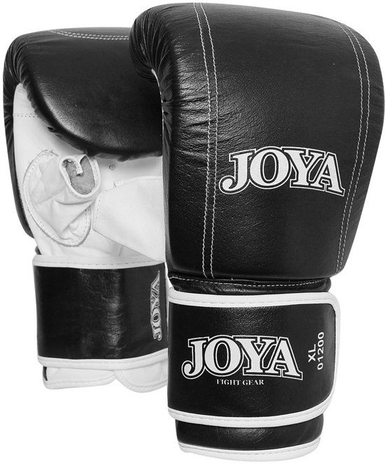 Joya Zakhandschoen Title Leather Black-S