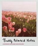 Abrams & Chronicle Pretty Polaroids Notecards