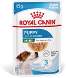 Royal Canin Mini Puppy Natvoer Hond - 12 x 85 g