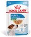 Royal Canin Mini Puppy Natvoer Hond - 12 x 85 g