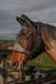 Harry's Horse Vliegenmasker Flyshield bamboo lining - Met Oren - Zwart - S