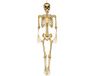Boland - Gouden Skelet Decoratie, 80 cm