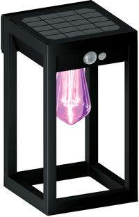 Calex Smart Outdoor Solar Buitenlamp - Zwart - RGB en Warm Wit - Wandmontage - Tuinverlichting