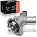 Frankberg Thermostaat met behuizing 25192923